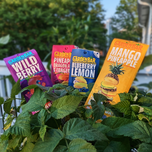 Earth Ranch Garden Bar Wild Berry mango pineapple blueberry lemon pineapple dragon fruit tangerine Dehydrated Fruit Snack