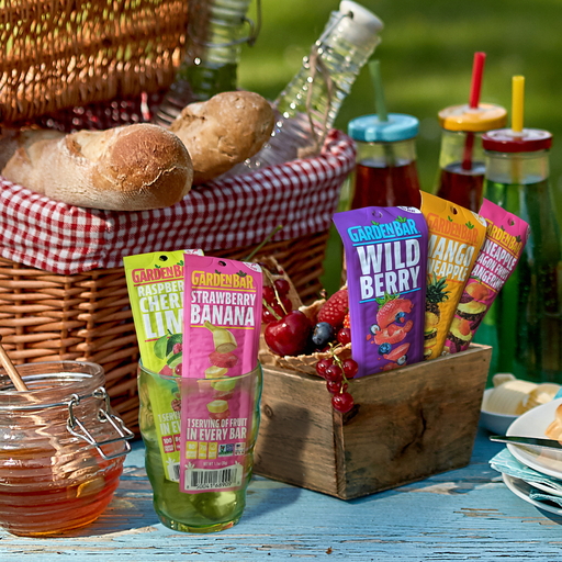 Earth Ranch Garden Bar Raspberry Cherry Lime strawberry banana wild berry mango pineapple dragon fruit tangerine Bar Dehydrated Fruit Snack